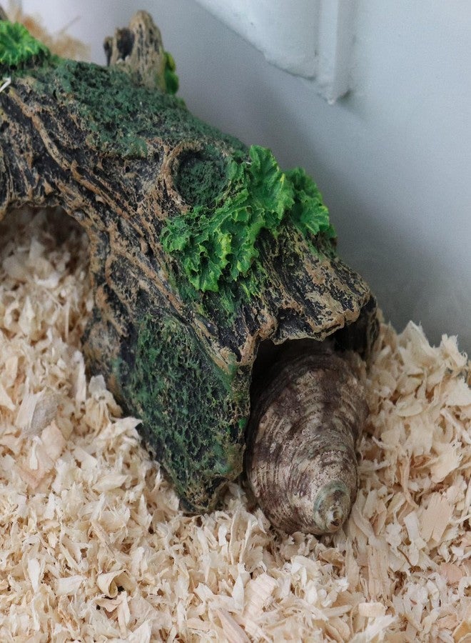Oooct Hermit Crab Climbing Toy, Aquarium Betta Fish Hideout Caves, Resin Hollow Tree Trunk Ornament, Tank or Aquarium Decorations, Climbing and Hide Toy for Reptile Lizard Newt Hermit Crab - Image 4